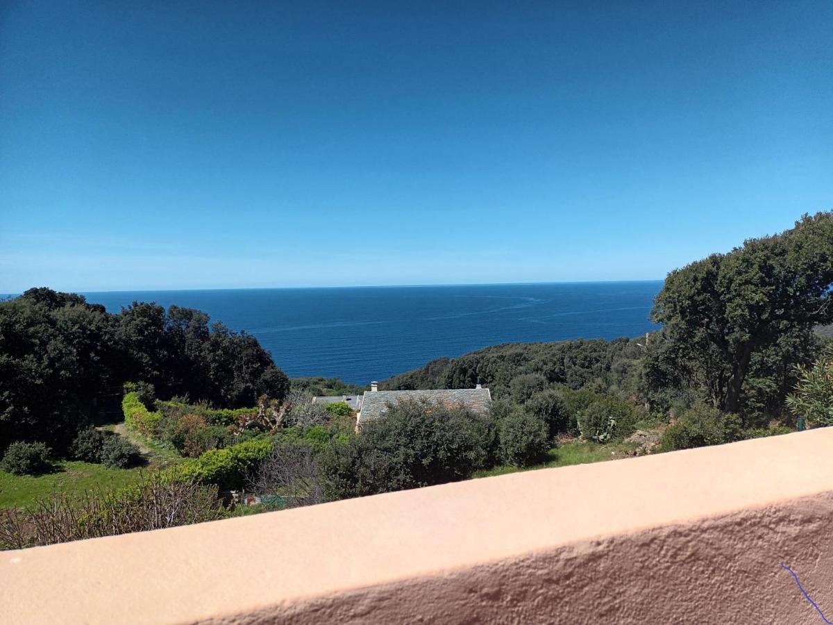 Azureo - Terrasse Du Golfe Villa Morsiglia Екстериор снимка