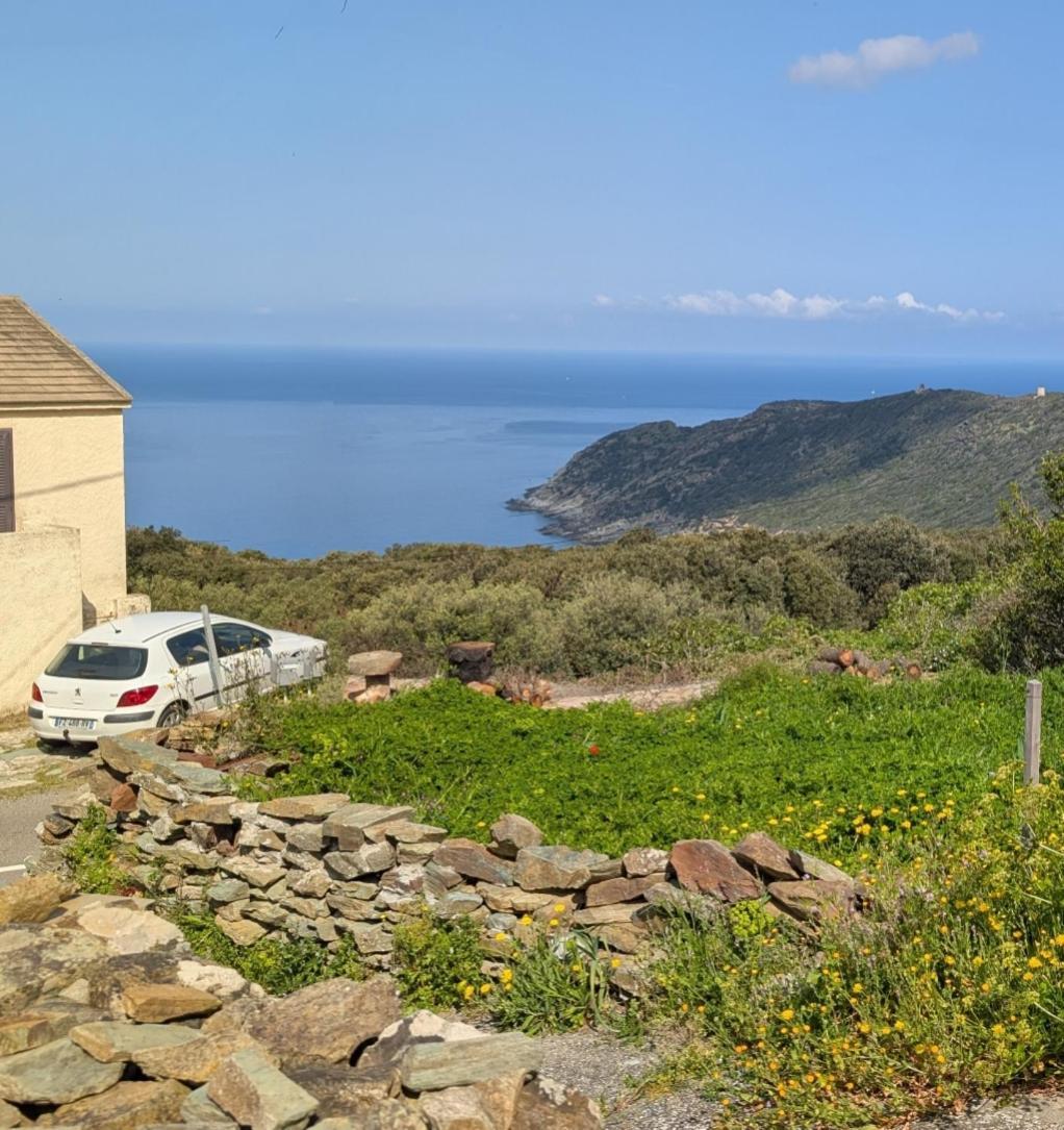 Azureo - Terrasse Du Golfe Villa Morsiglia Екстериор снимка